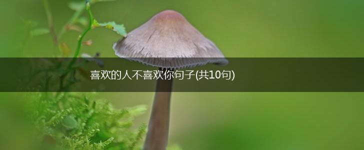 喜欢的人不喜欢你句子(共10句),第1张