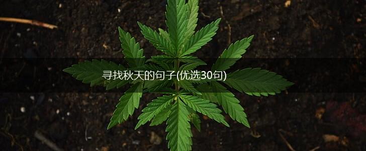 寻找秋天的句子(优选30句),第1张