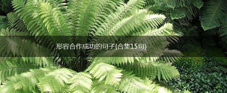形容合作成功的句子(合集15句),第1张