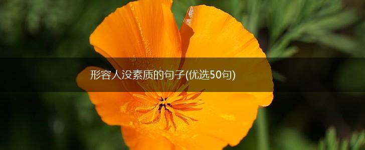 形容人没素质的句子(优选50句),第1张
