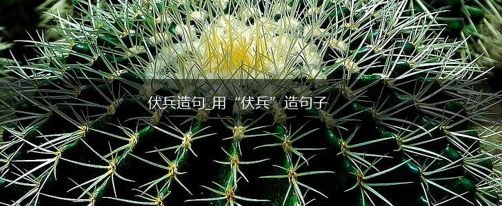 伏兵造句_用“伏兵”造句子,第1张 伏兵造句_用“伏兵”造句子,第1张
