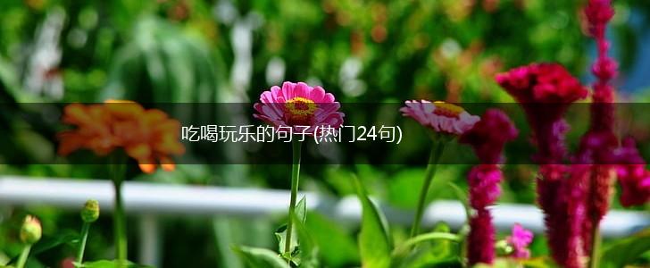 吃喝玩乐的句子(热门24句),第1张