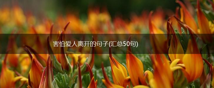 害怕爱人离开的句子(汇总50句),第1张