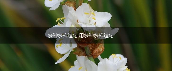 多种多样造句,用多种多样造句,第1张
