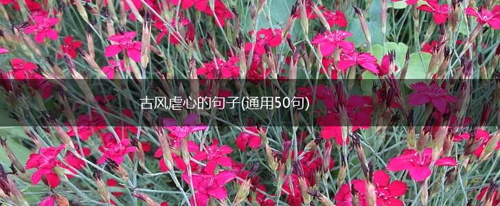 古风虐心的句子(通用50句),第1张