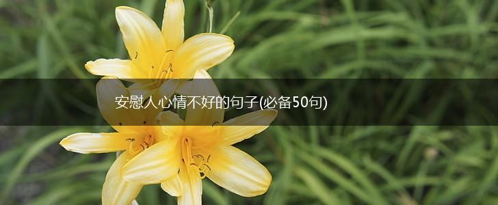 安慰人心情不好的句子(必备50句),第1张