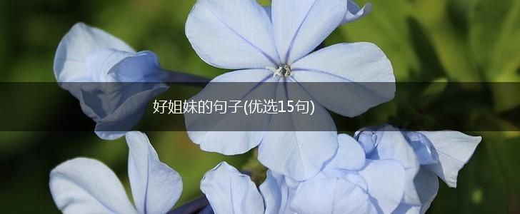 好姐妹的句子(优选15句),第1张