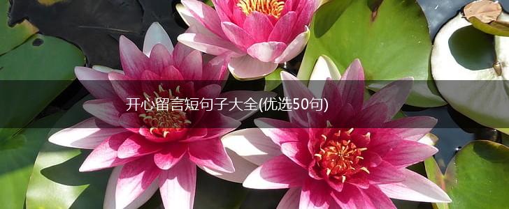 开心留言短句子大全(优选50句),第1张