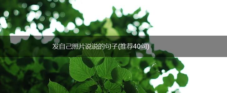 发自己照片说说的句子(推荐40句),第1张