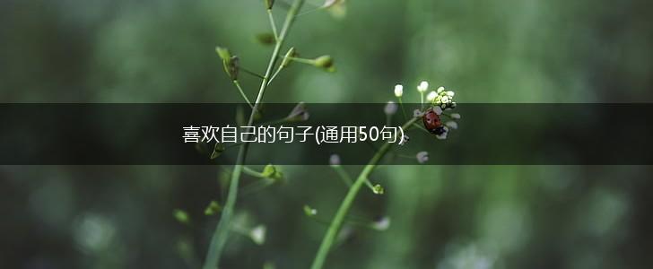 喜欢自己的句子(通用50句),第1张
