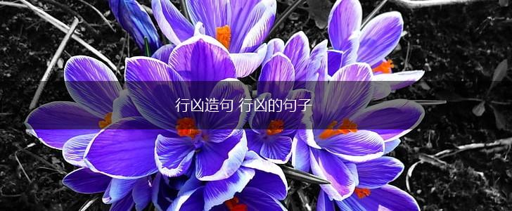 行凶造句 行凶的句子,第1张 行凶造句 行凶的句子,第1张