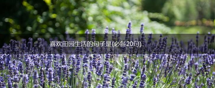 喜欢田园生活的句子是(必备20句),第1张