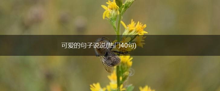 可爱的句子说说(热门40句),第1张