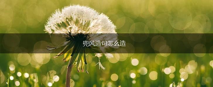 兜风造句怎么造,第1张
