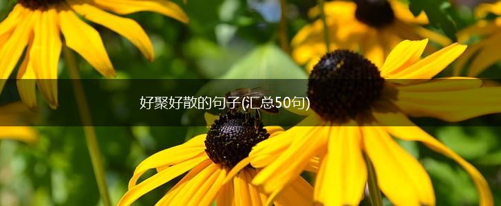 好聚好散的句子(汇总50句),第1张