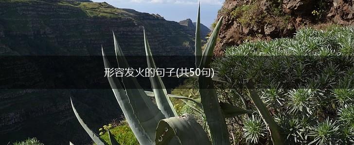 形容发火的句子(共50句),第1张