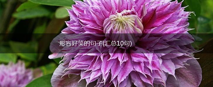 形容好笑的句子(汇总10句),第1张