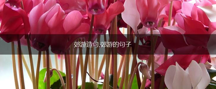 郊游造句,郊游的句子,第1张 郊游造句,郊游的句子,第1张