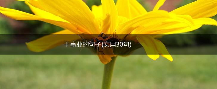 干事业的句子(实用30句),第1张