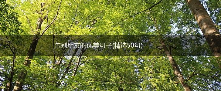 告别朋友的优美句子(精选50句),第1张