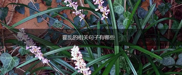 霍乱的相关句子有哪些,第1张 霍乱的相关句子有哪些,第1张