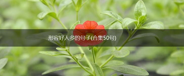 形容好人多的句子(合集50句),第1张