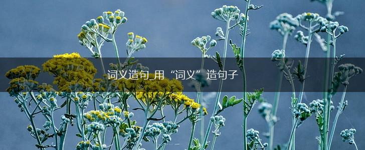 词义造句_用“词义”造句子,第1张
