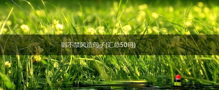 弱不禁风造句子(汇总50句),第1张