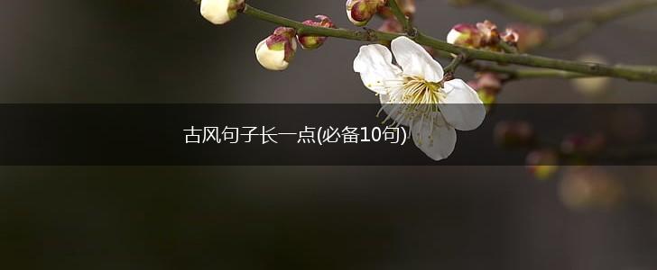 古风句子长一点(必备10句),第1张