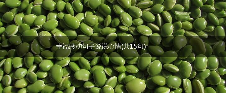 幸福感动句子说说心情(共15句),第1张