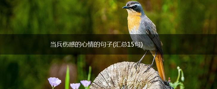当兵伤感的心情的句子(汇总15句),第1张