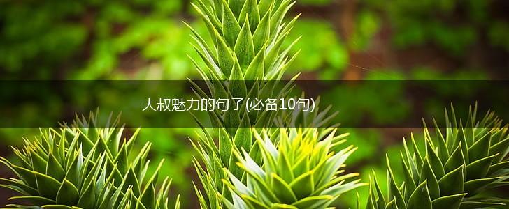 大叔魅力的句子(必备10句),第1张