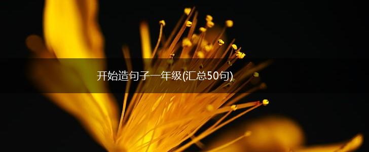 开始造句子一年级(汇总50句),第1张