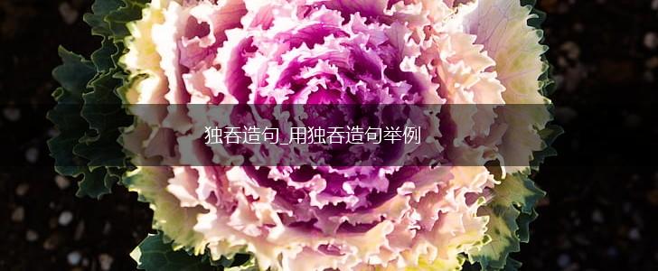 独吞造句_用独吞造句举例,第1张