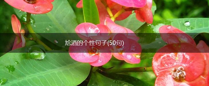 尬酒的个性句子(50句),第1张