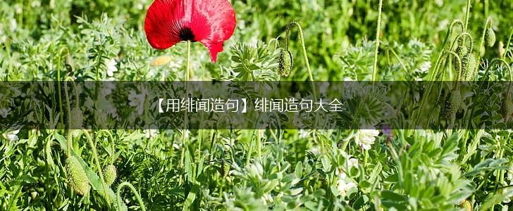 【用绯闻造句】绯闻造句大全,第1张 【用绯闻造句】绯闻造句大全,第1张
