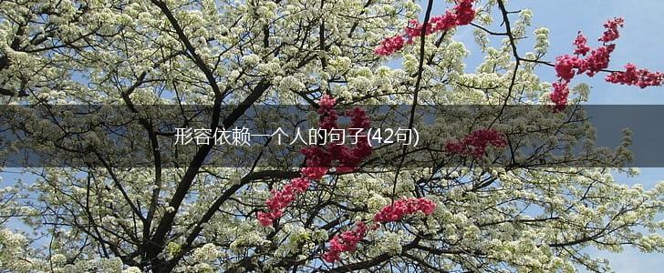 形容依赖一个人的句子(42句),第1张
