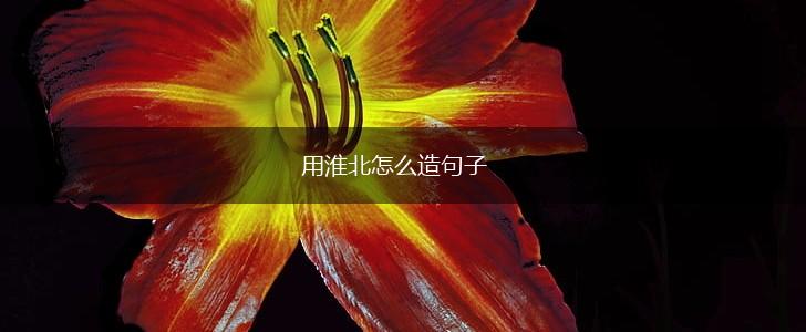 用淮北怎么造句子,第1张 用淮北怎么造句子,第1张
