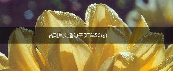 名副其实造句子(汇总50句),第1张