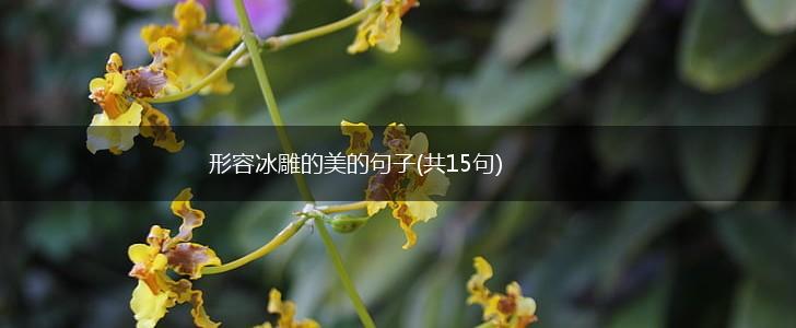 形容冰雕的美的句子(共15句),第1张