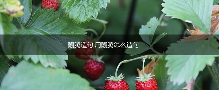 翻腾造句,用翻腾怎么造句,第1张 翻腾造句,用翻腾怎么造句,第1张