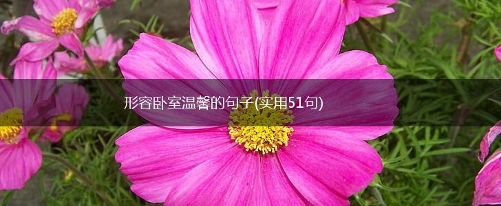 形容卧室温馨的句子(实用51句),第1张