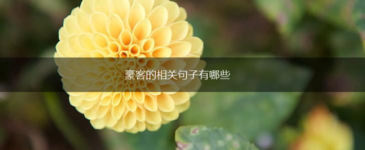 豪客的相关句子有哪些,第1张 豪客的相关句子有哪些,第1张