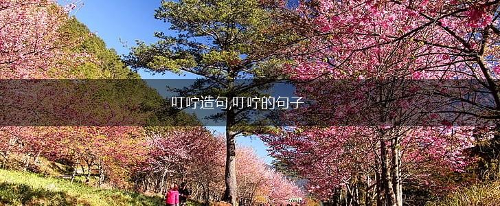叮咛造句,叮咛的句子,第1张