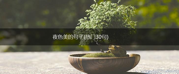 夜色美的句子(热门30句),第1张