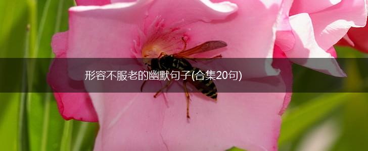 形容不服老的幽默句子(合集20句),第1张