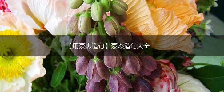 【用豪杰造句】豪杰造句大全,第1张 【用豪杰造句】豪杰造句大全,第1张