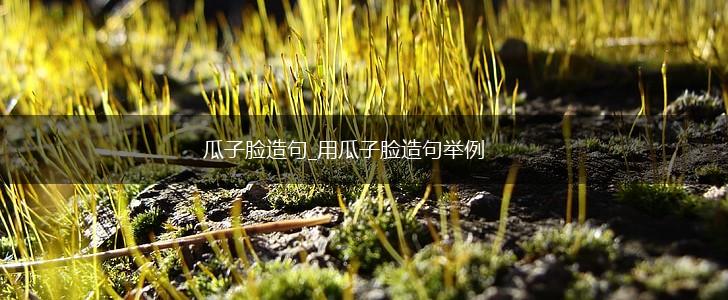 瓜子脸造句_用瓜子脸造句举例,第1张 瓜子脸造句_用瓜子脸造句举例,第1张