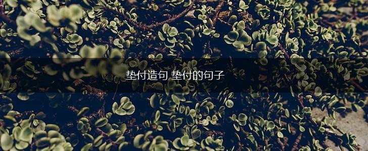 垫付造句 垫付的句子,第1张