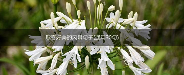 形容好美的风景句子(通用30句),第1张